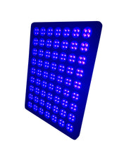 Load image into Gallery viewer, Megami® Reika Pro Max LED Light Therapy Device